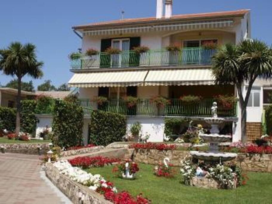 The House
