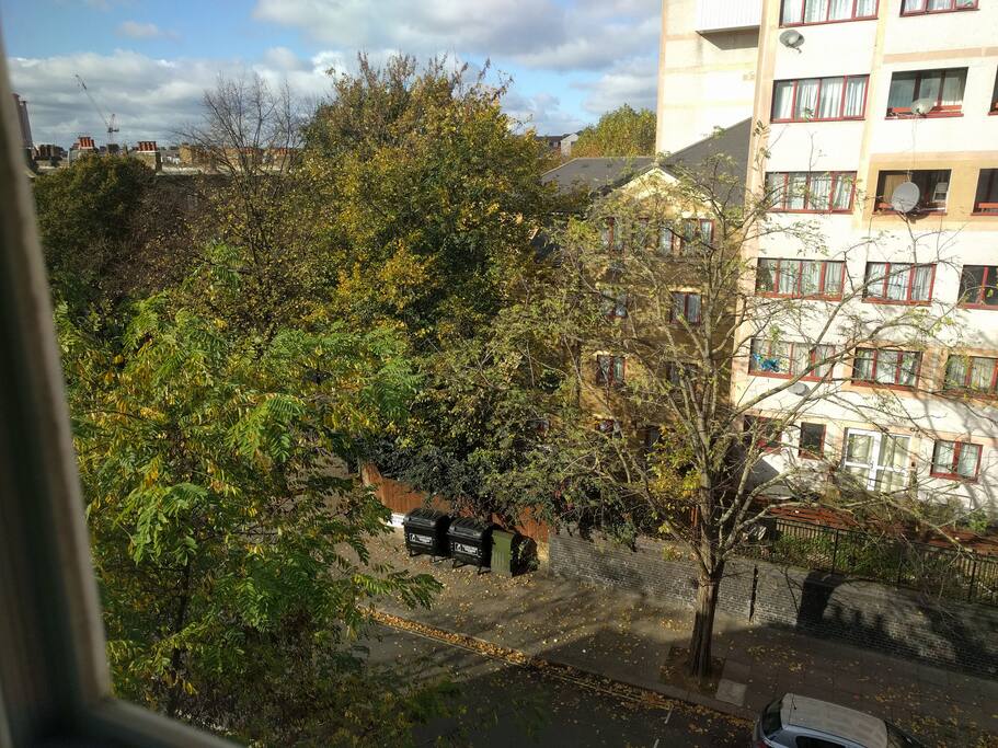 View from living room
