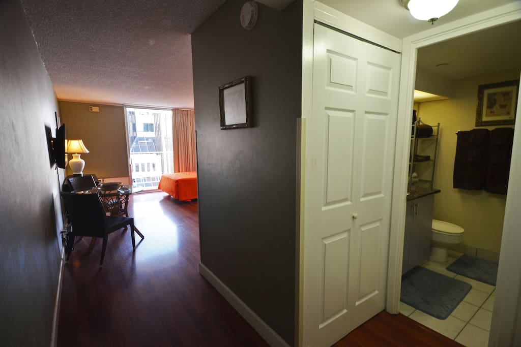 View from the entrance. Bathroom and closet on the right.