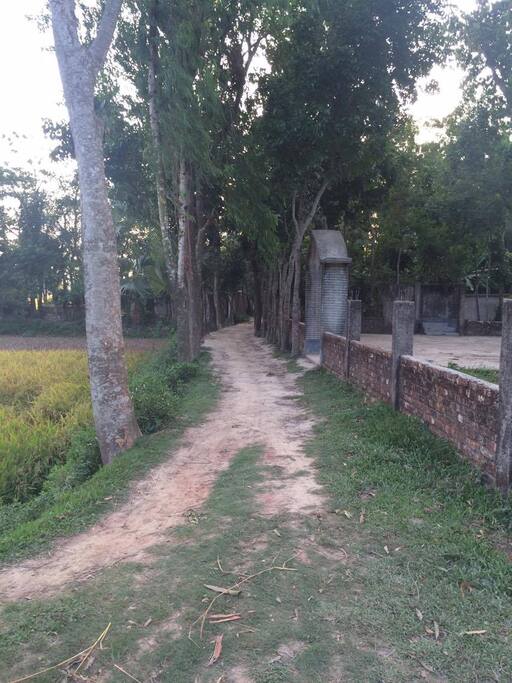 Entrance way to house