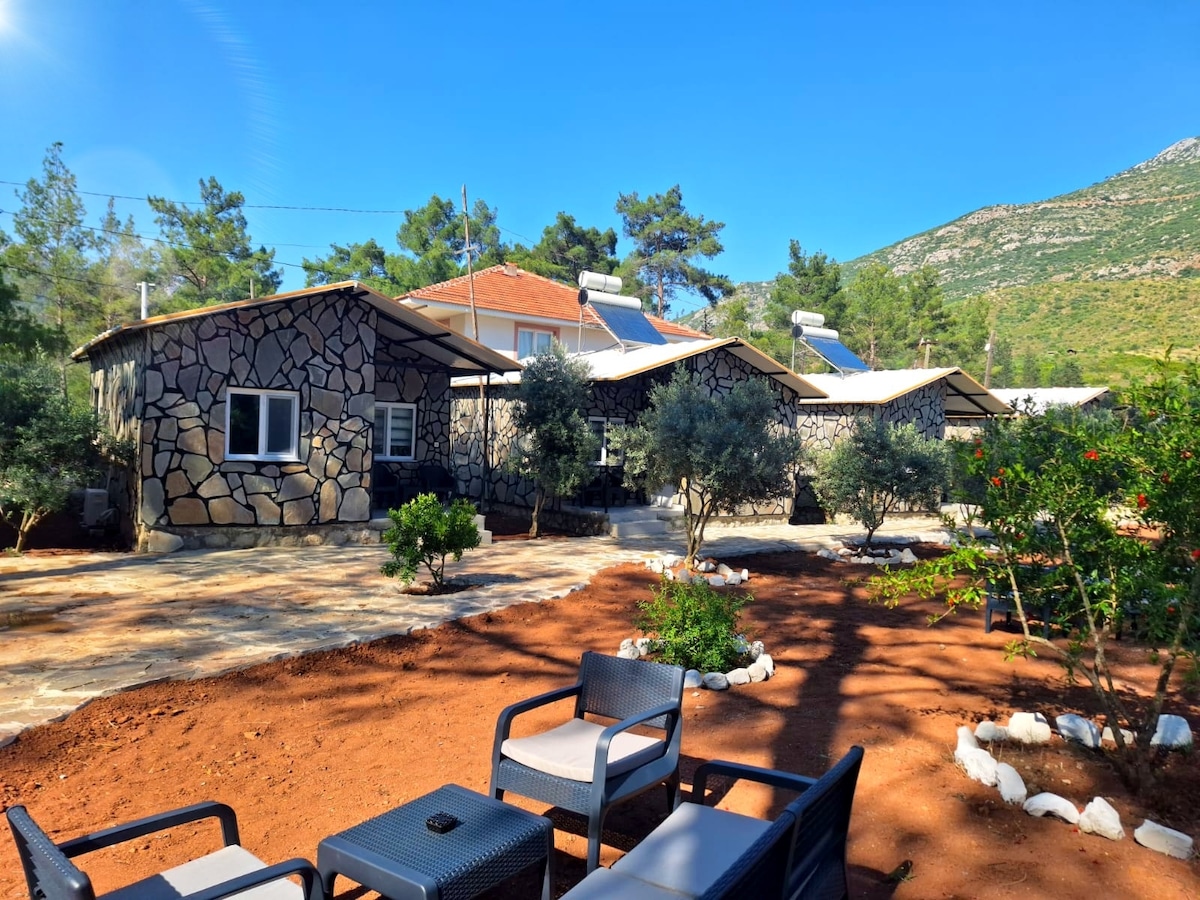 Coconut Apart Olympos 2 - Häuser zur Miete in Yazır, Antalya, Türkei ...