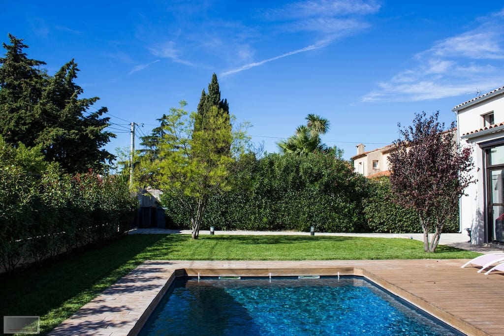 Piscine 8×4 sur jardin orienté plein sud