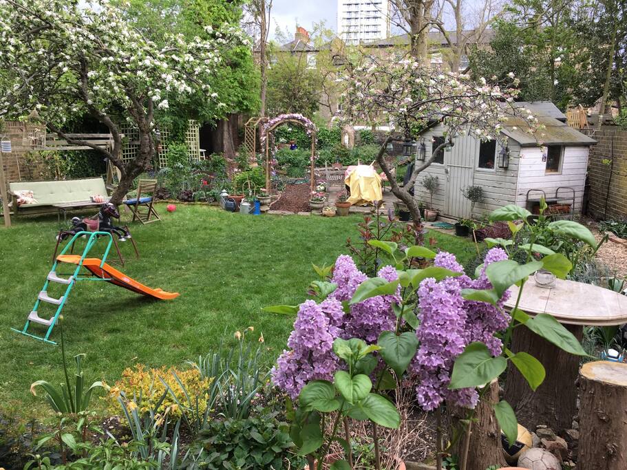 Garden, April 2017