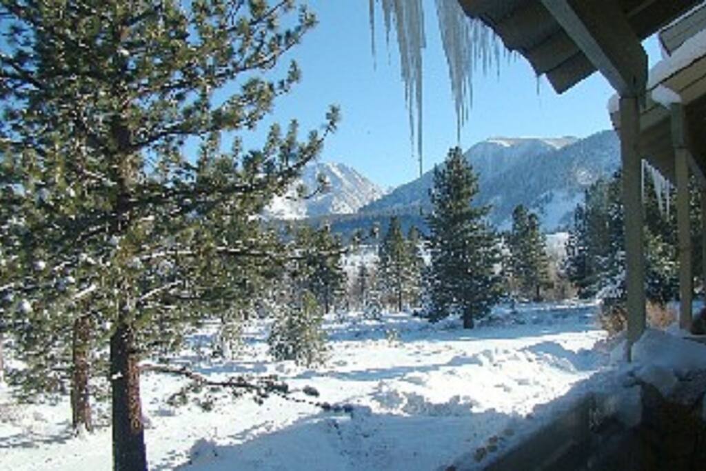 Enjoy a Snowy Playground directly behind the condo...no need to drive anywhere!