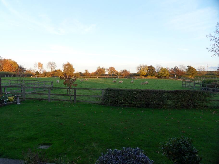 View from back garden, with some neighbours