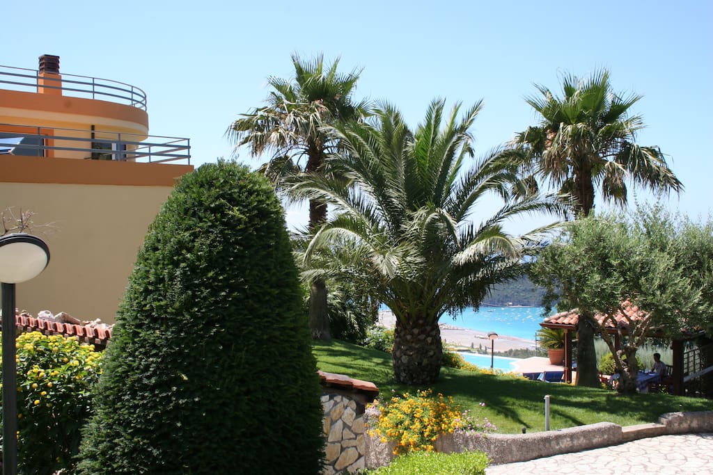 North garden View
