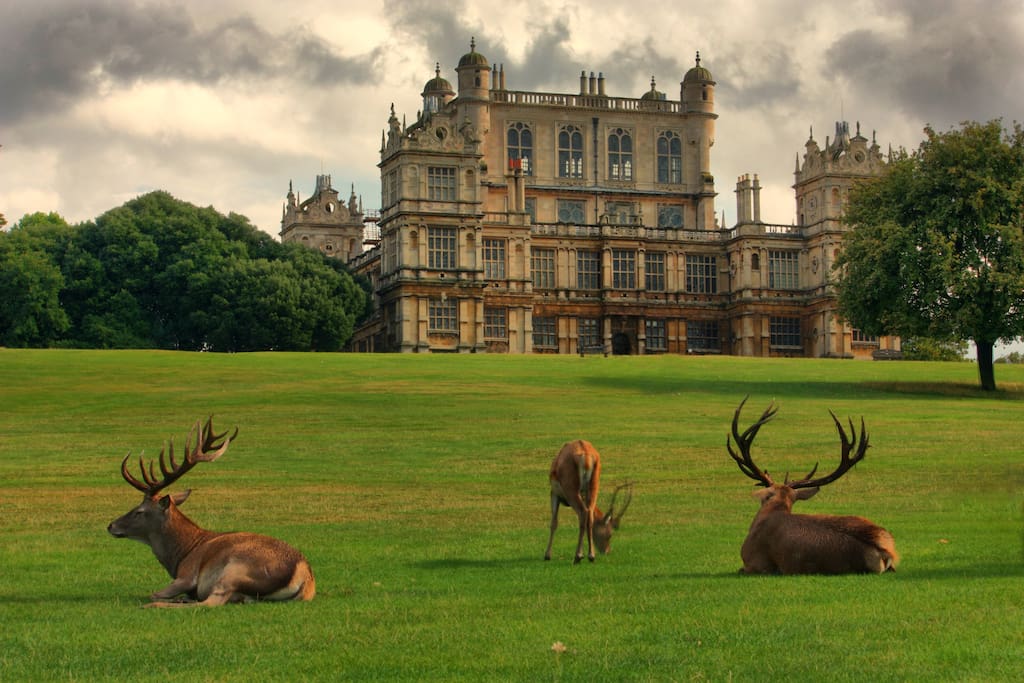 Wollaton park (also featured in Batman movie )