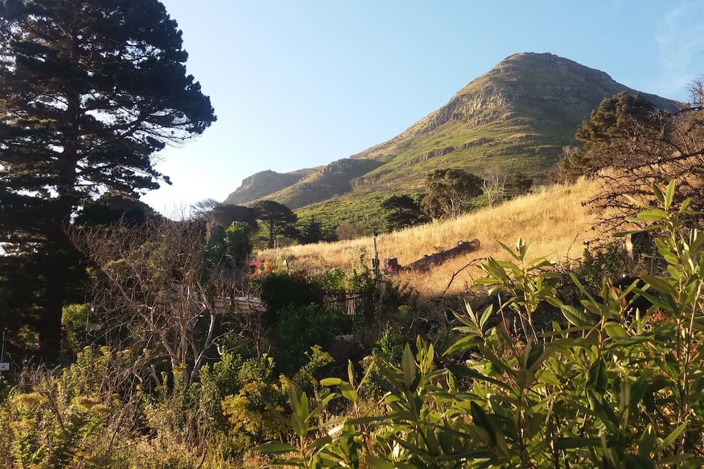 View from main bedroom
