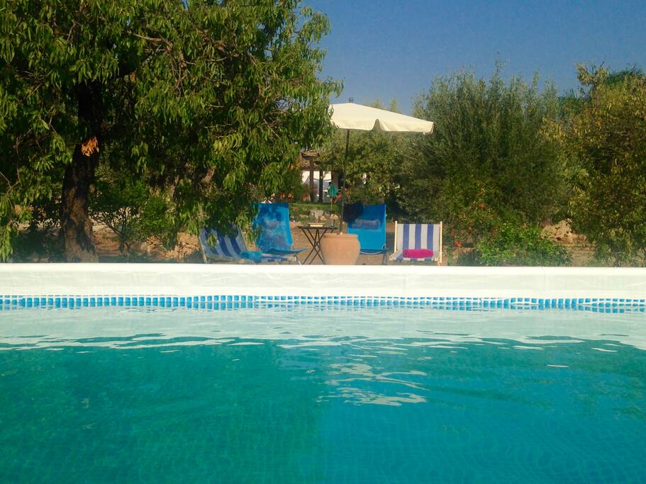 Great pool