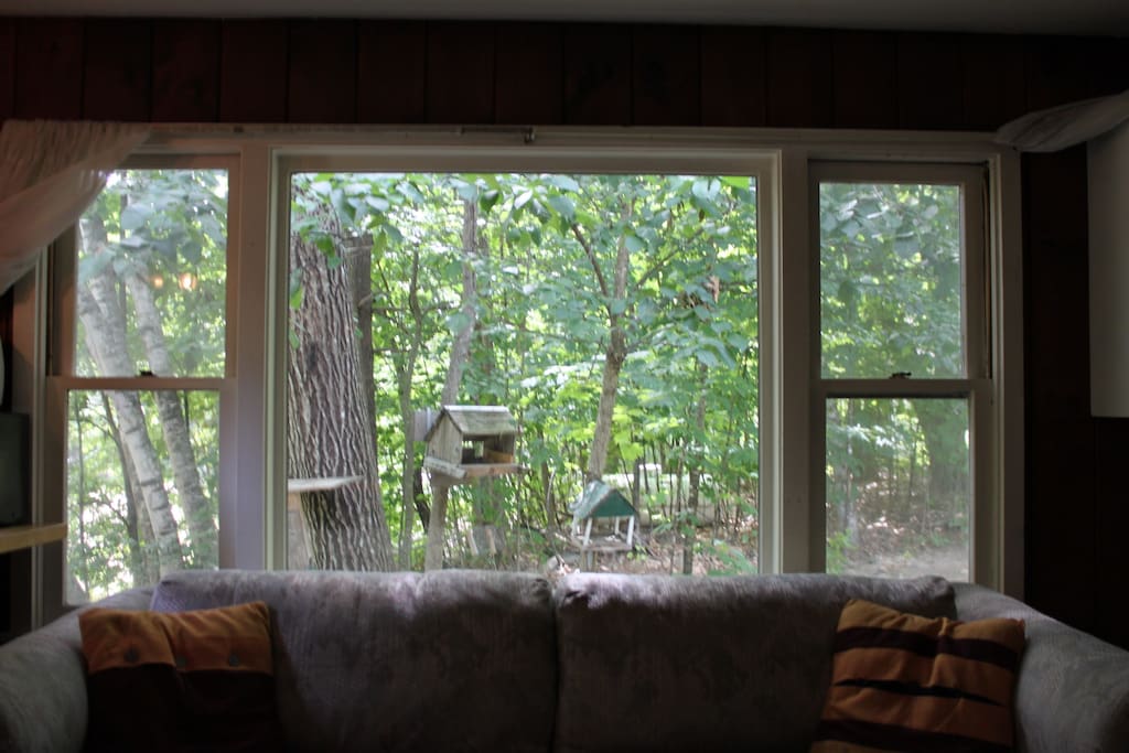 Main room - view out window