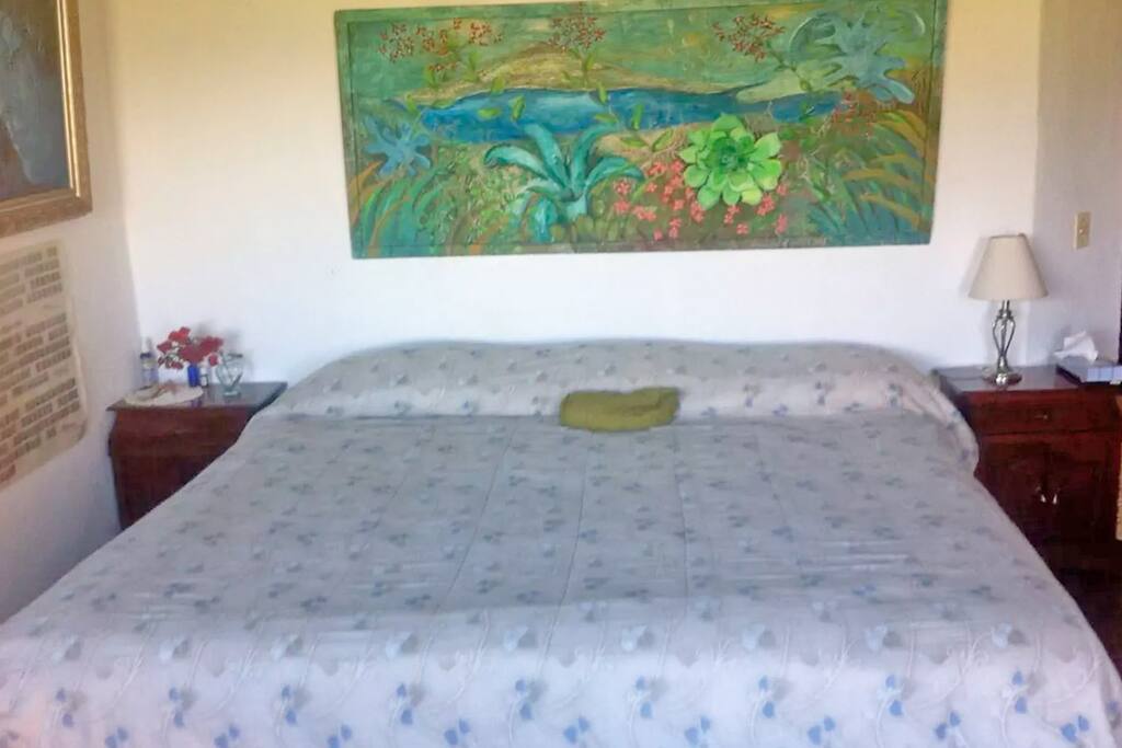 Room 1 / Recamara