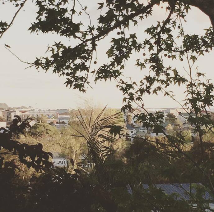 The view across to Kingsland shopping and cafe district, and Eden Park sports field.