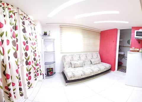 Popular Airbnb listing: Modern Studio Suite Type Downtown Mexico City in Guerrero