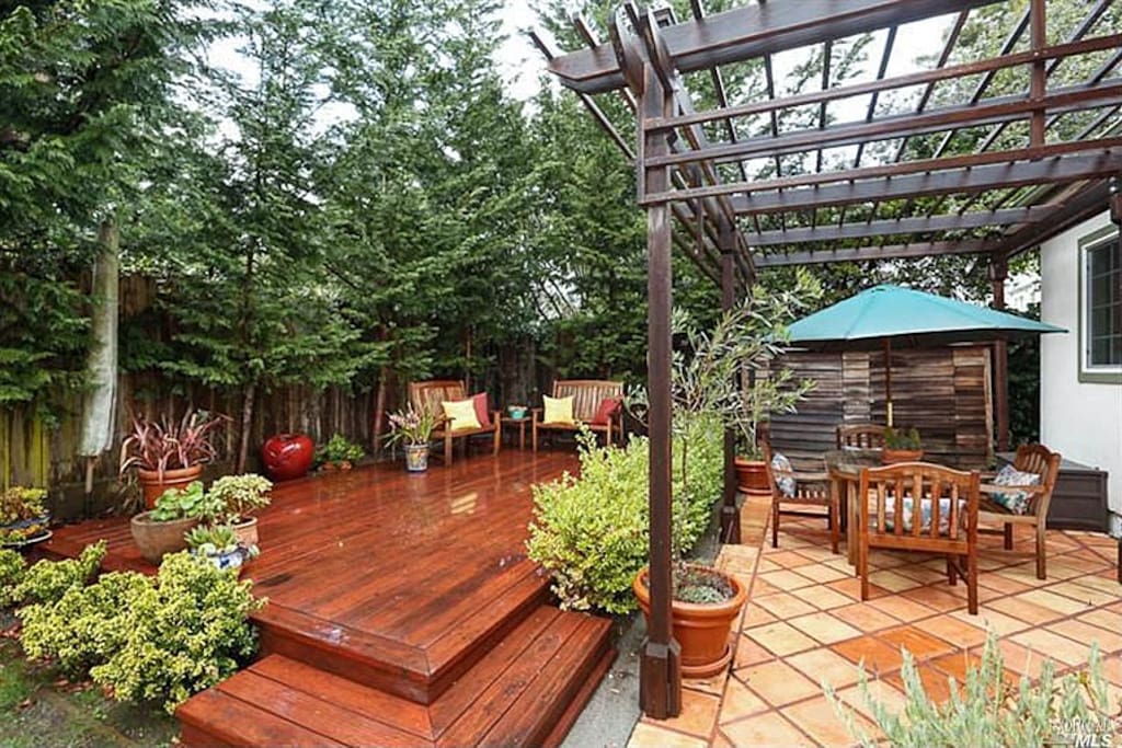Backyard I with gas BBQ