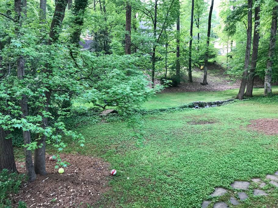 Backyard