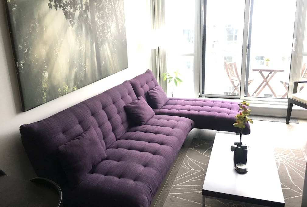 This apartment gets a lot of light!