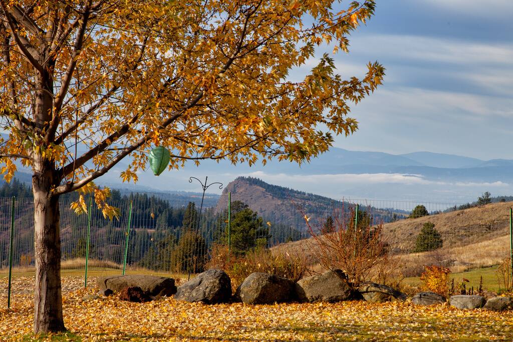 Beautiful no matter the season!