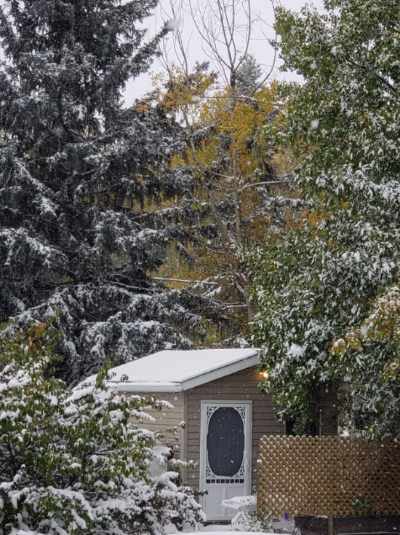 The cabin-ette is surrounded by snow-covered trees, with visible evergreens and leafy branches. A light layer of snow rests on the roof and the entrance features a decorative white door. The tranquil winter scene showcases a serene outdoor environment, providing a cozy atmosphere.