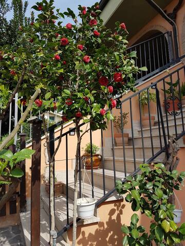 Airbnb Marco Simone Vacation Rentals Places To Stay