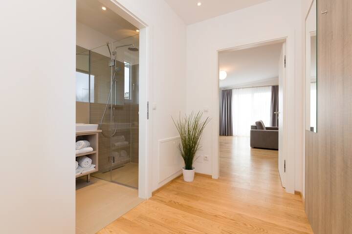 Tabor Penthouse with Terrace gallery image 3