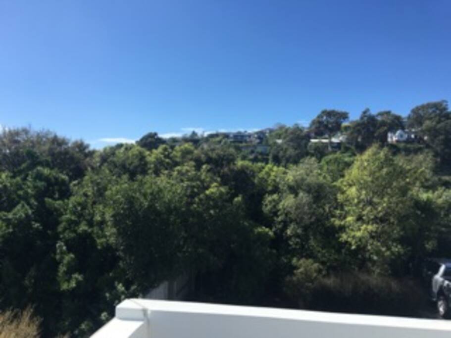 View from Balcony