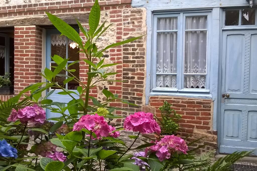 Hortensias