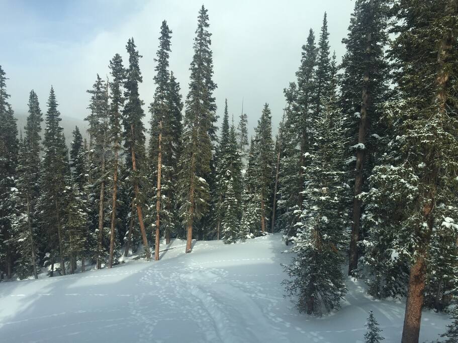 Back yard view in winter