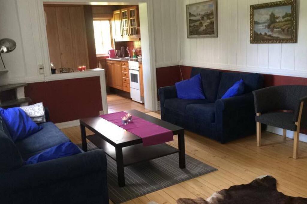 livingroom (couch that kids can sleep on)