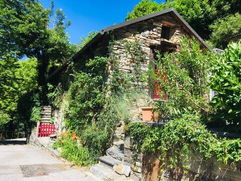 Einzigartiges und charmantes Rustico