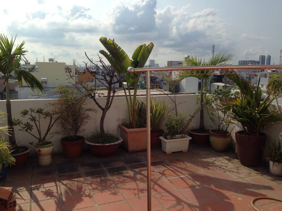 Roof terrace