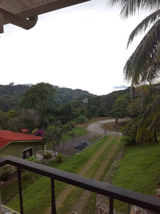 View from your room!