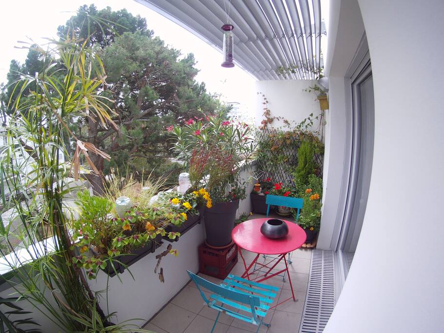 Terrasse calme, sans vis à vis, exposée sud est