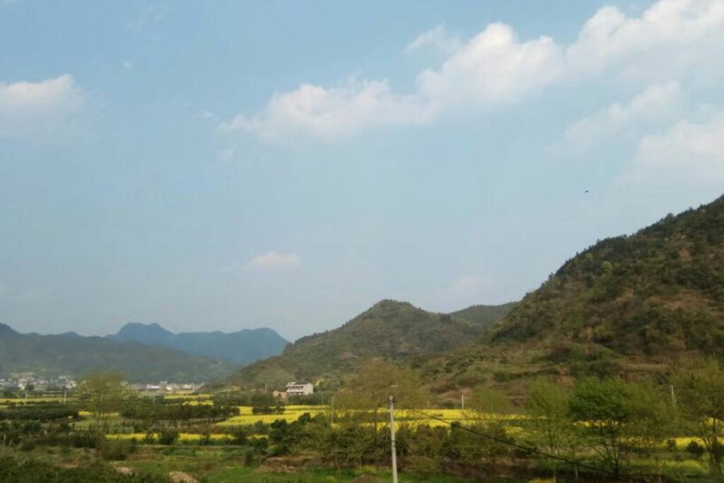 阳台上望出去的景色,春天,油菜花