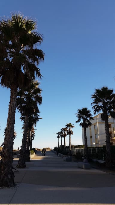 av de la mediterranée