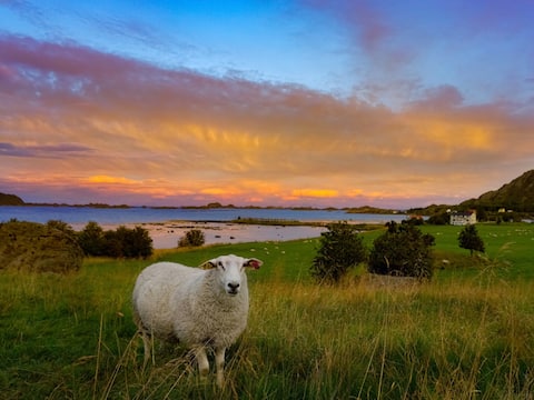 Apartment 10 min from Leknes,Lofoten. Oceanview.