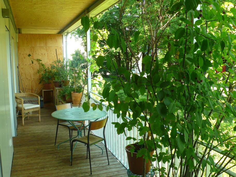 großer Südbalkon (20 qm) / balcony to the south (20 square meters)