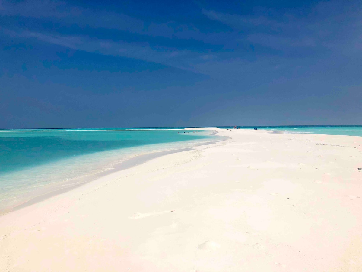 A serene beach scene is displayed, featuring soft white sand stretching towards a clear turquoise water. Gentle waves lap at the shore, while a calm sky with light clouds creates a soothing backdrop. The horizon blends seamlessly with the water, enhancing the tranquil setting.