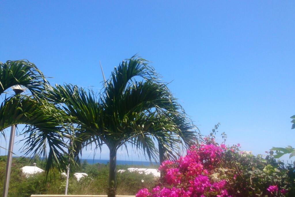 Vue de la terrasse.
6 plages accessible à pied.