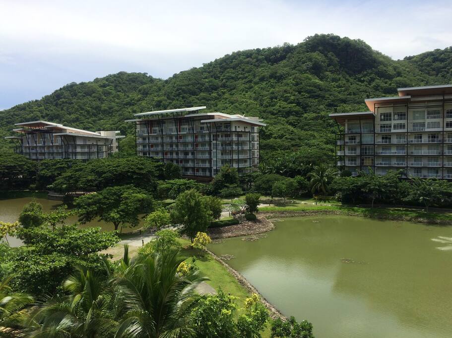 View from balcony