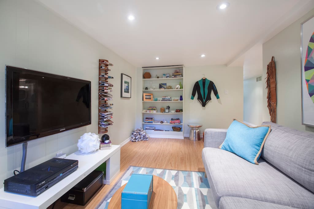 42" flat screen, cable TV, mag rack, comfortable sofa, PS2 player, books to read