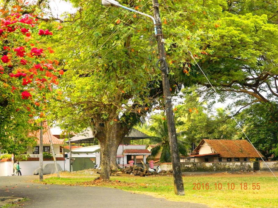 VIEW FROM THE PROPERTY
