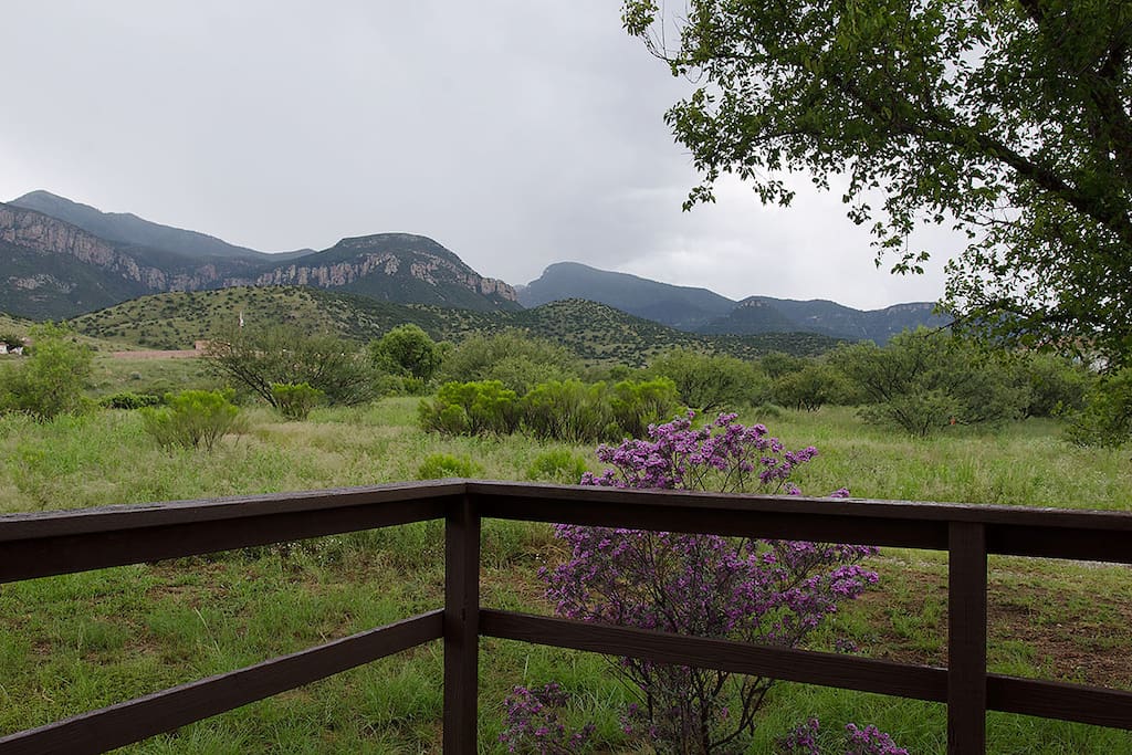 View from front and side deck