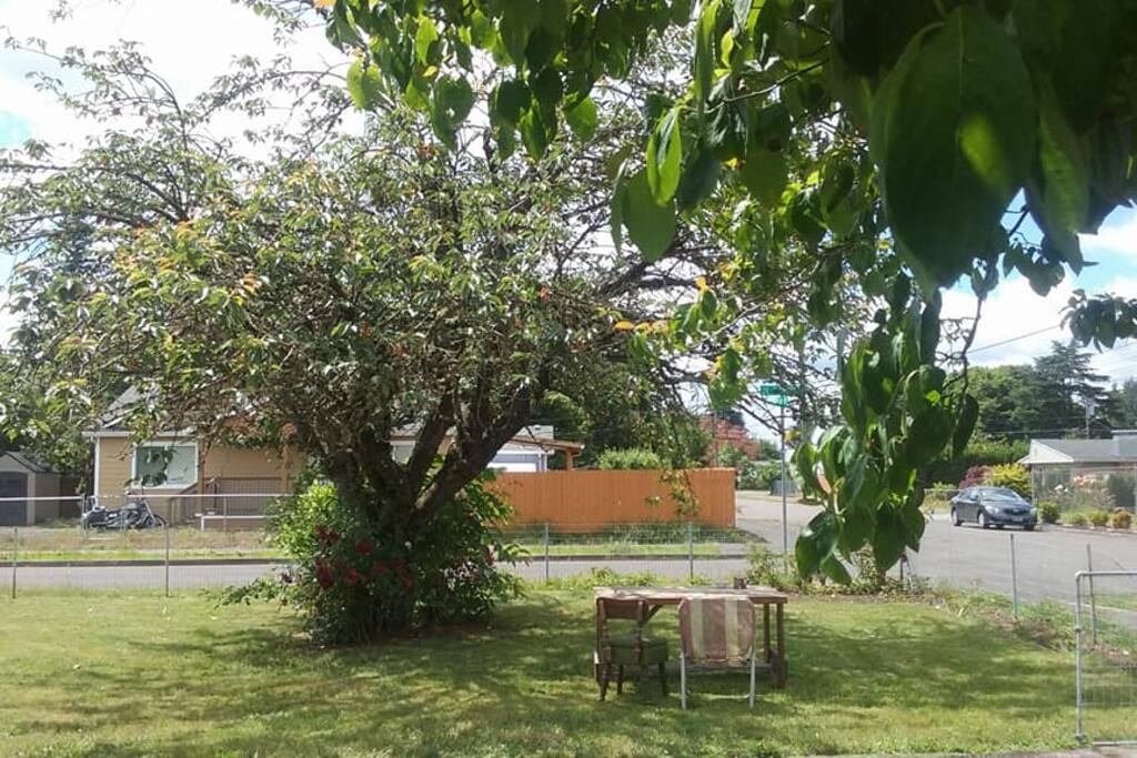 yard