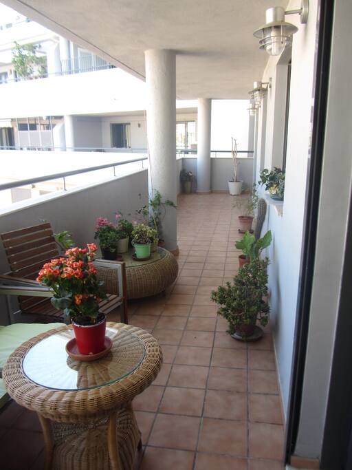 Terraza