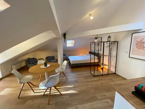 Fürthpartment 3 (direct subway to Nuremberg fair)