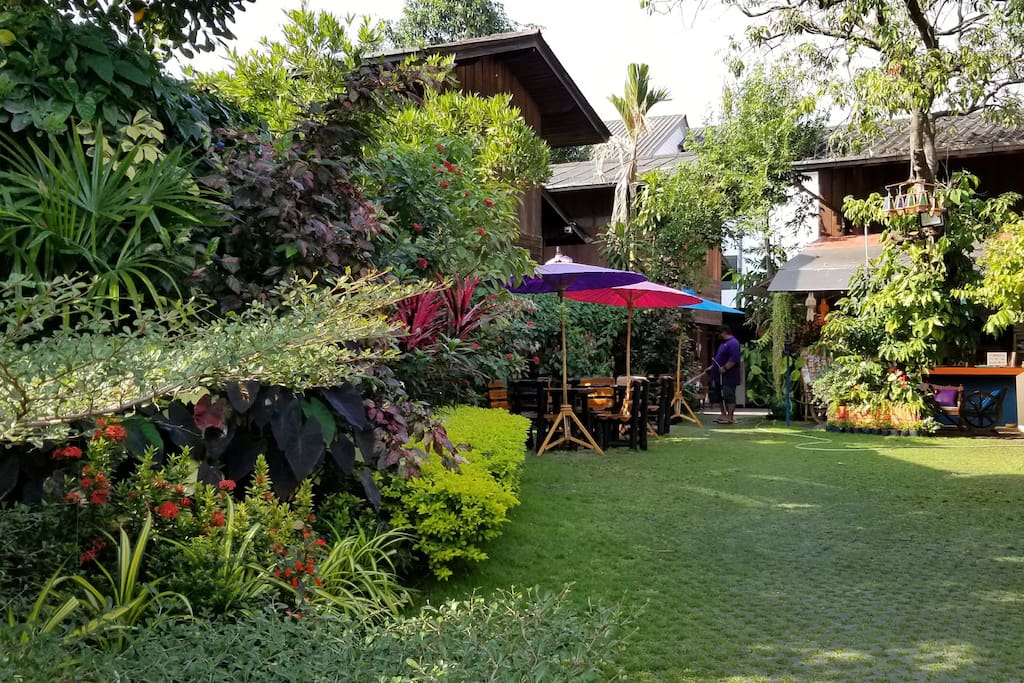 A cozy garden in the middle of Chiang Mai city
