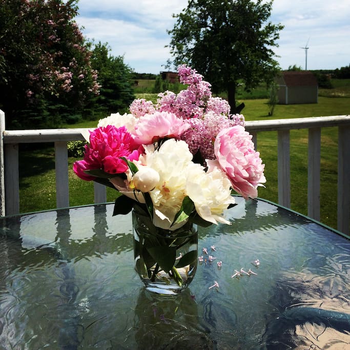 Peonies and lilacs are old-fashioned June favorites.