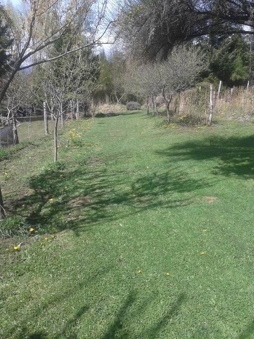 Hermoso parque que rodea la propiedad.