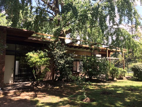 Casa Quinta Las Palmeras, Engineer Maschwitz