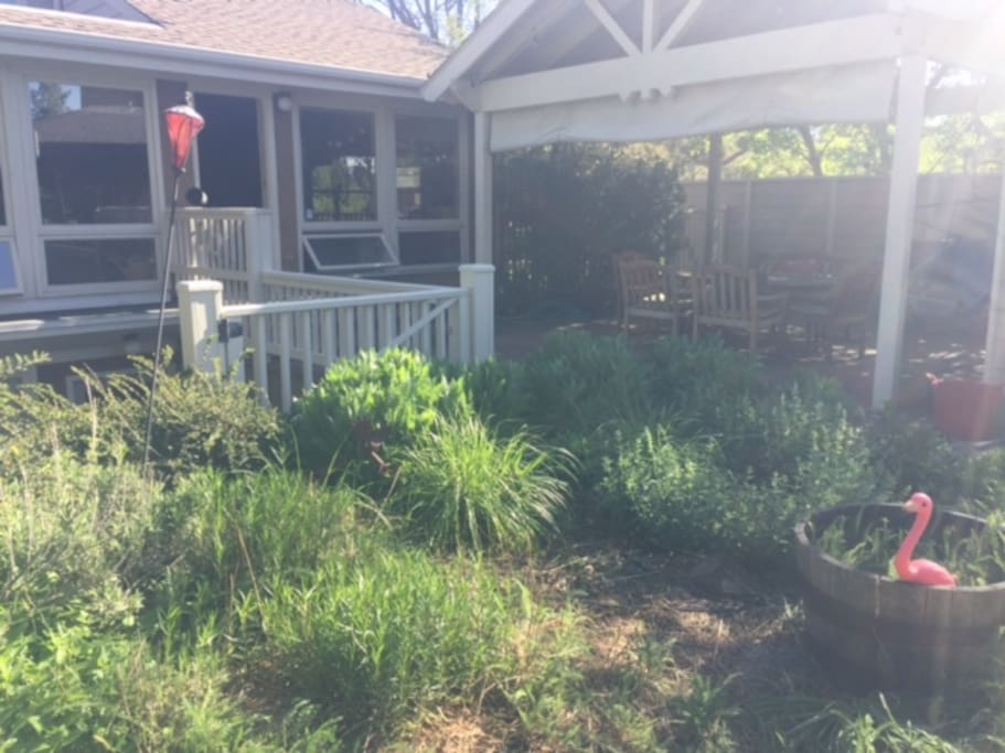 Back patio